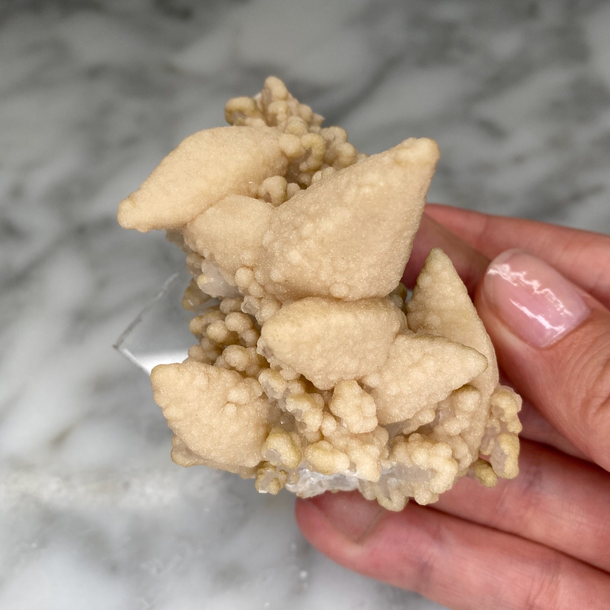 Calcites avec druse de quartz et chlorite de la mine Droujba, en Bulgarie – Image 2