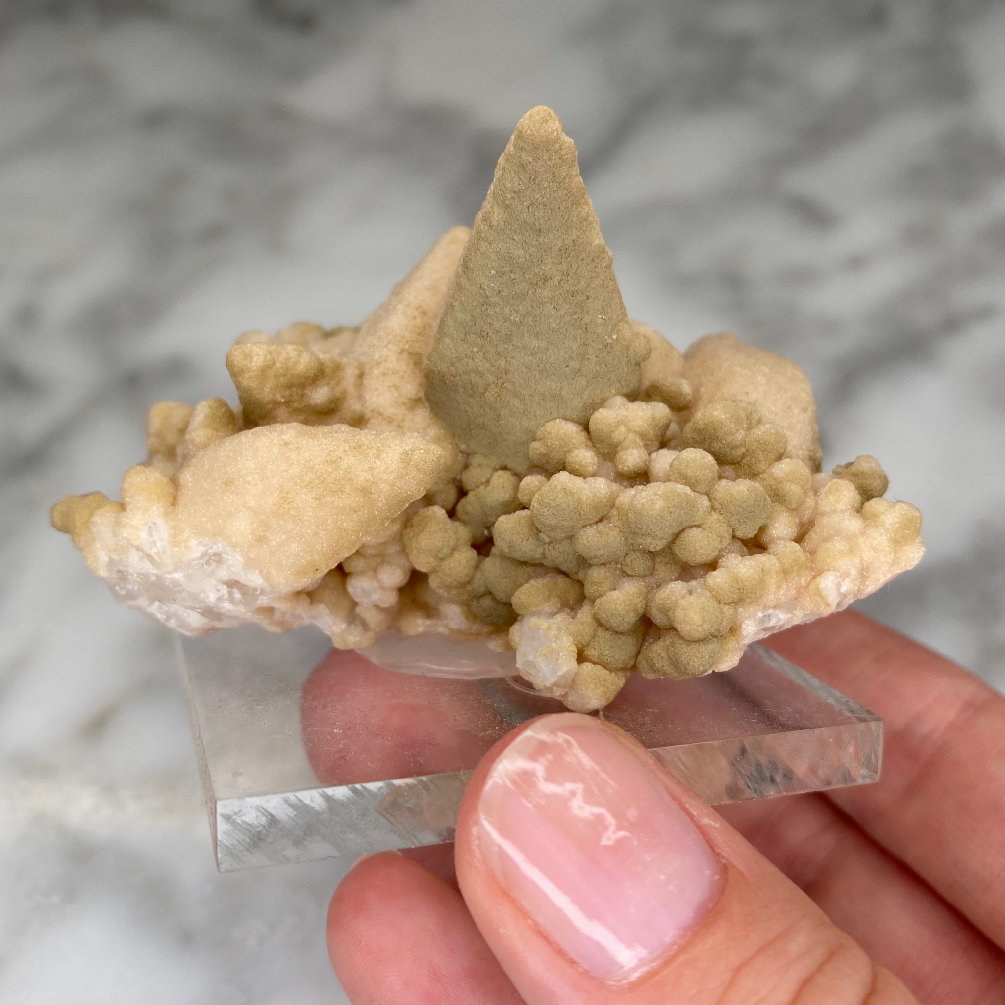 Calcites avec druse de quartz et chlorite de la mine Droujba, en Bulgarie – Image 8