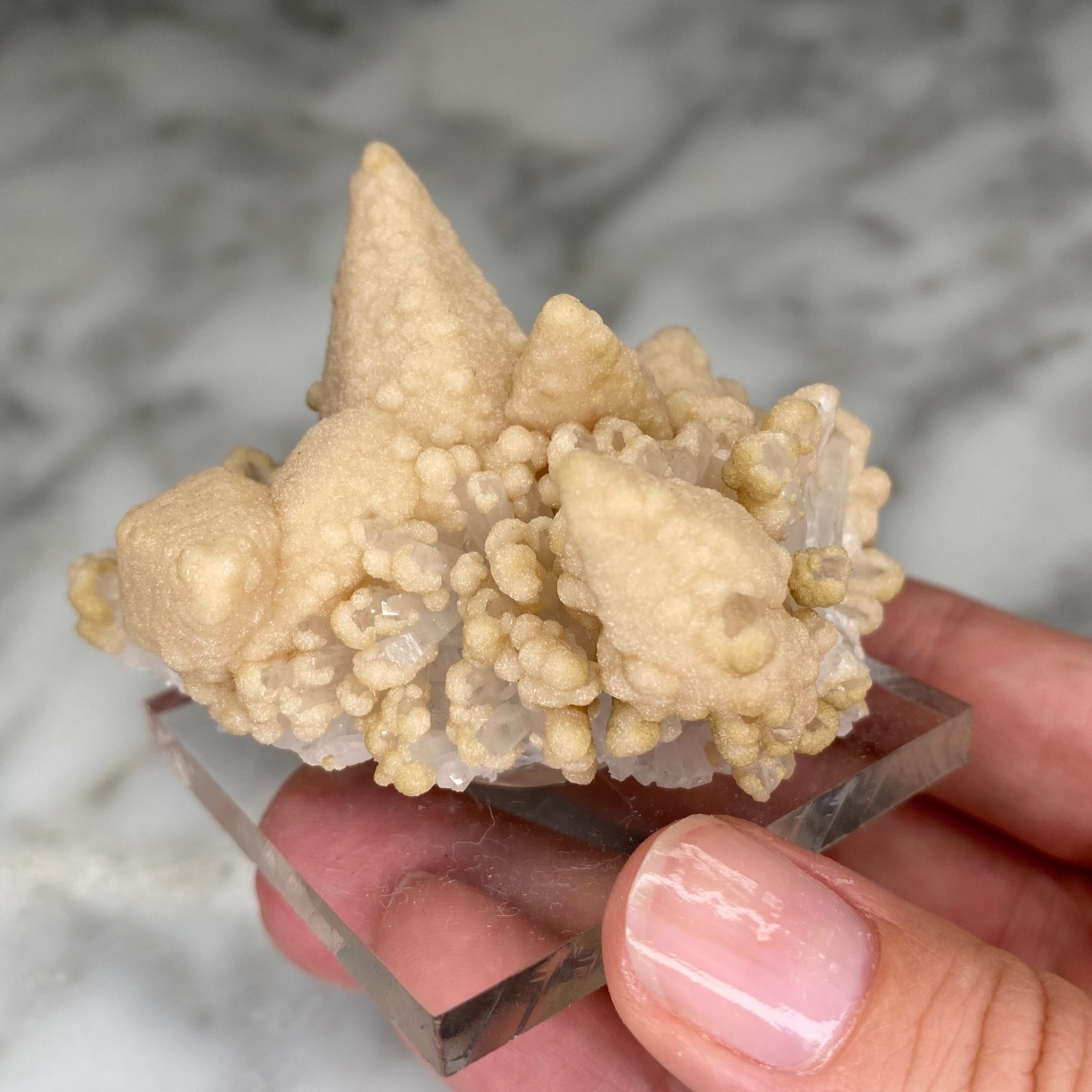 Calcites avec druse de quartz et chlorite de la mine Droujba, en Bulgarie – Image 7