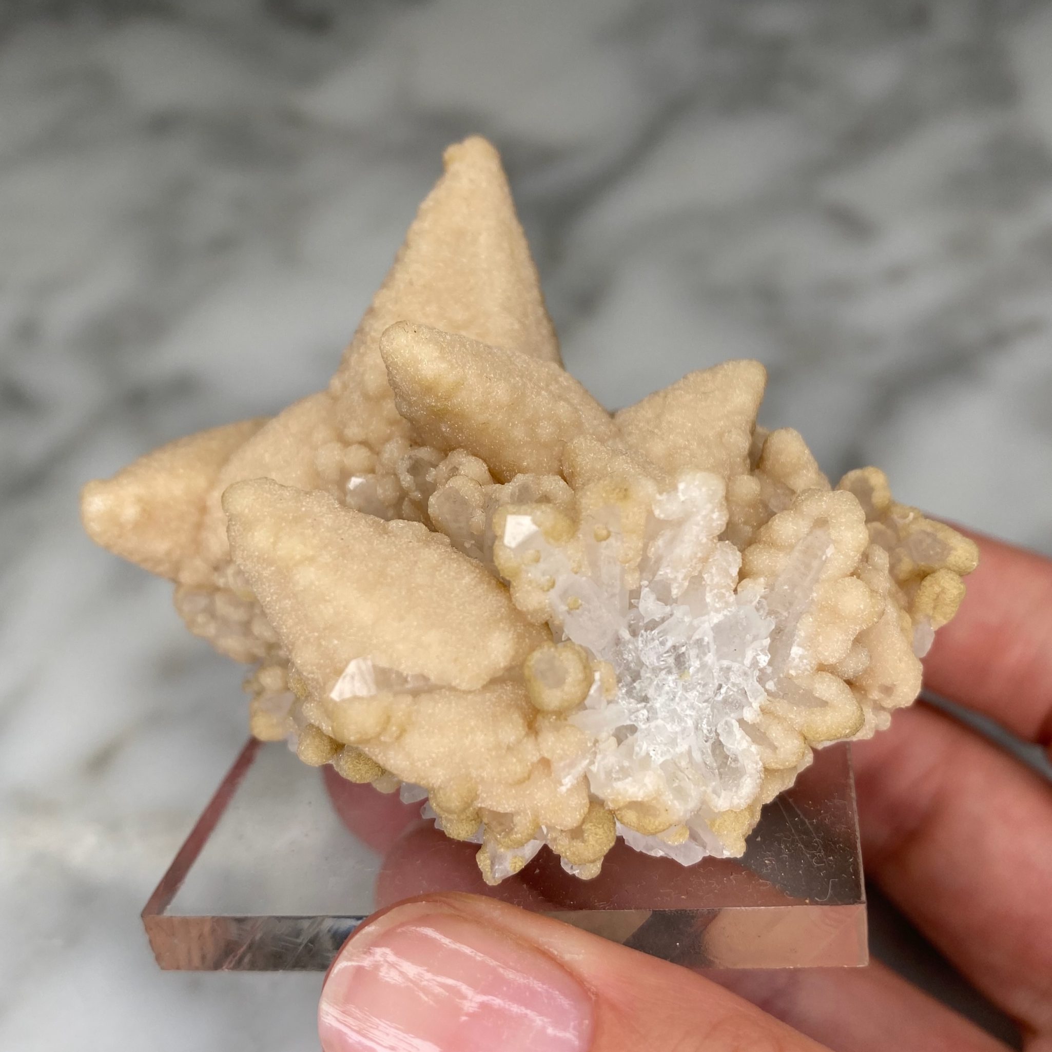 Calcites avec druse de quartz et chlorite de la mine Droujba, en Bulgarie – Image 6