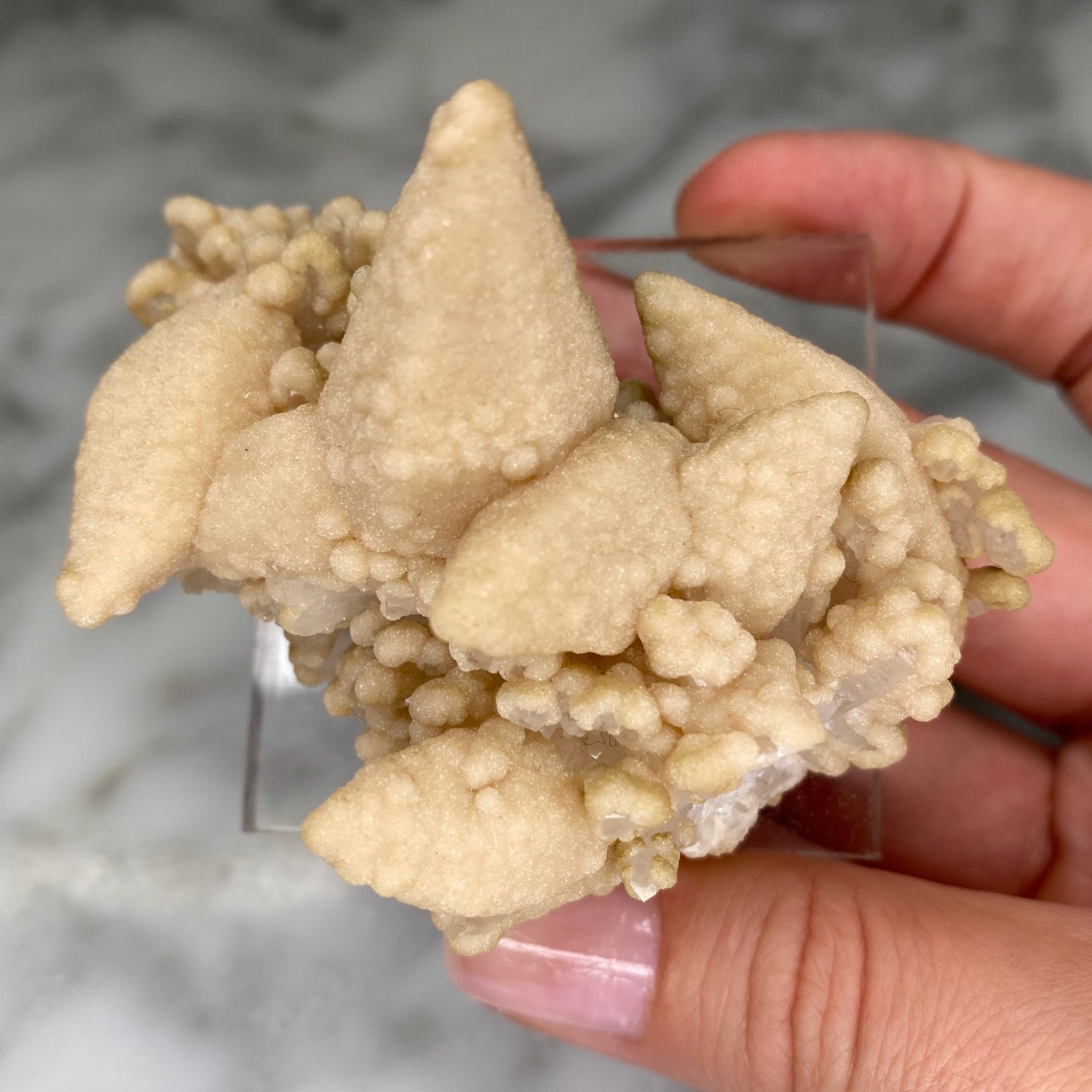 Calcites avec druse de quartz et chlorite de la mine Droujba, en Bulgarie – Image 5