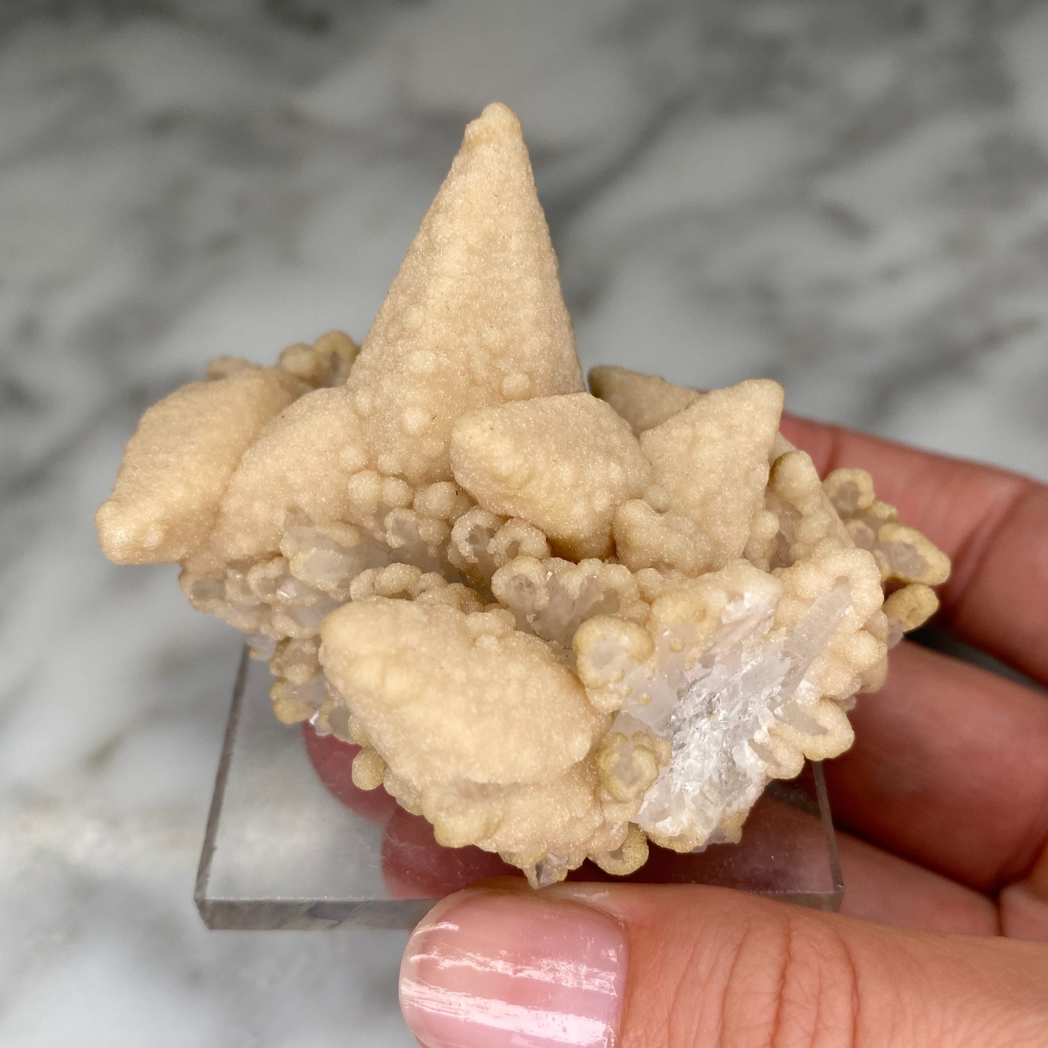 Calcites avec druse de quartz et chlorite de la mine Droujba, en Bulgarie – Image 4