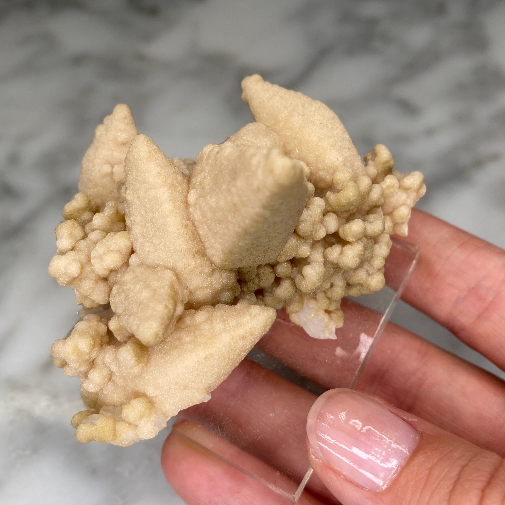 Calcites avec druse de quartz et chlorite de la mine Droujba, en Bulgarie – Image 3