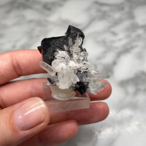 Quartz and Hubnerite from Pasto Bueno