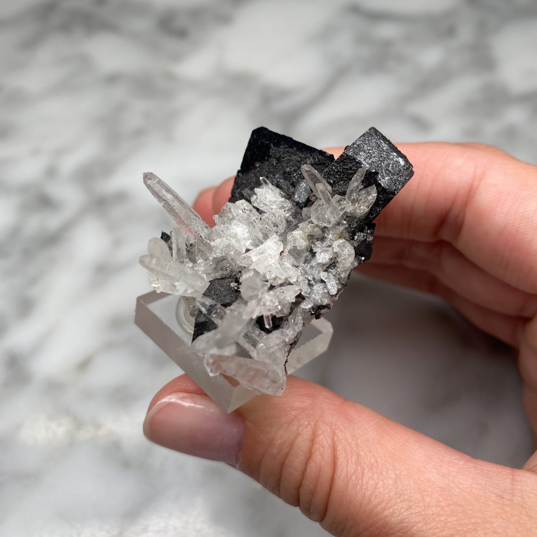 Quartz and Hubnerite from Pasto Bueno, Peru - Image 6