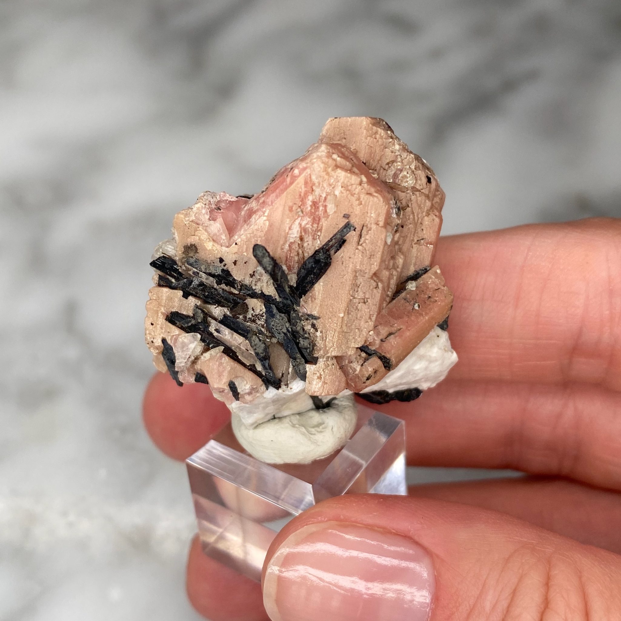 Serandite, Aegirine, Albite from Mont Saint Hilaire