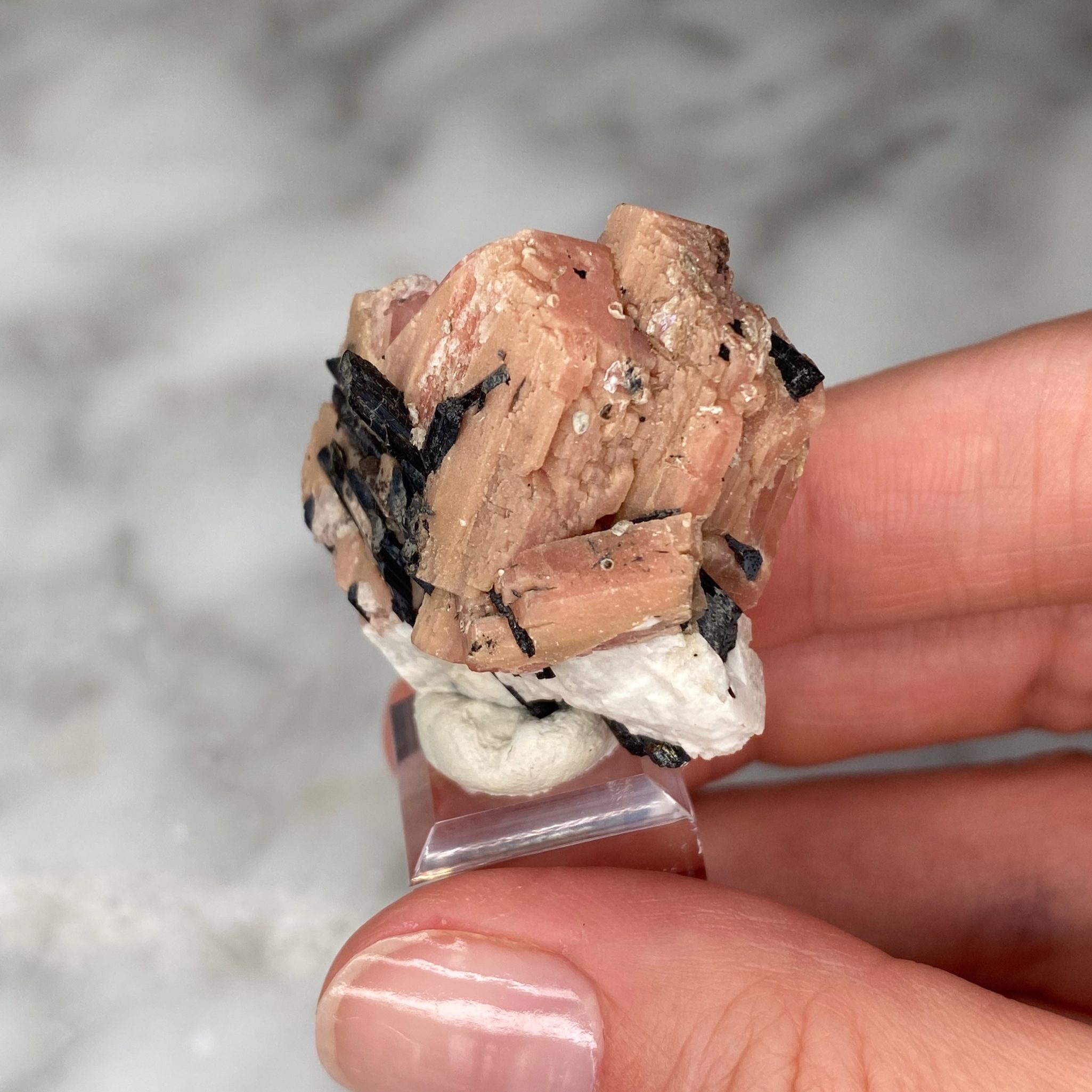 Sérandite Aegirine Albite du Mont Saint Hilaire, Québec, Canada – Image 2