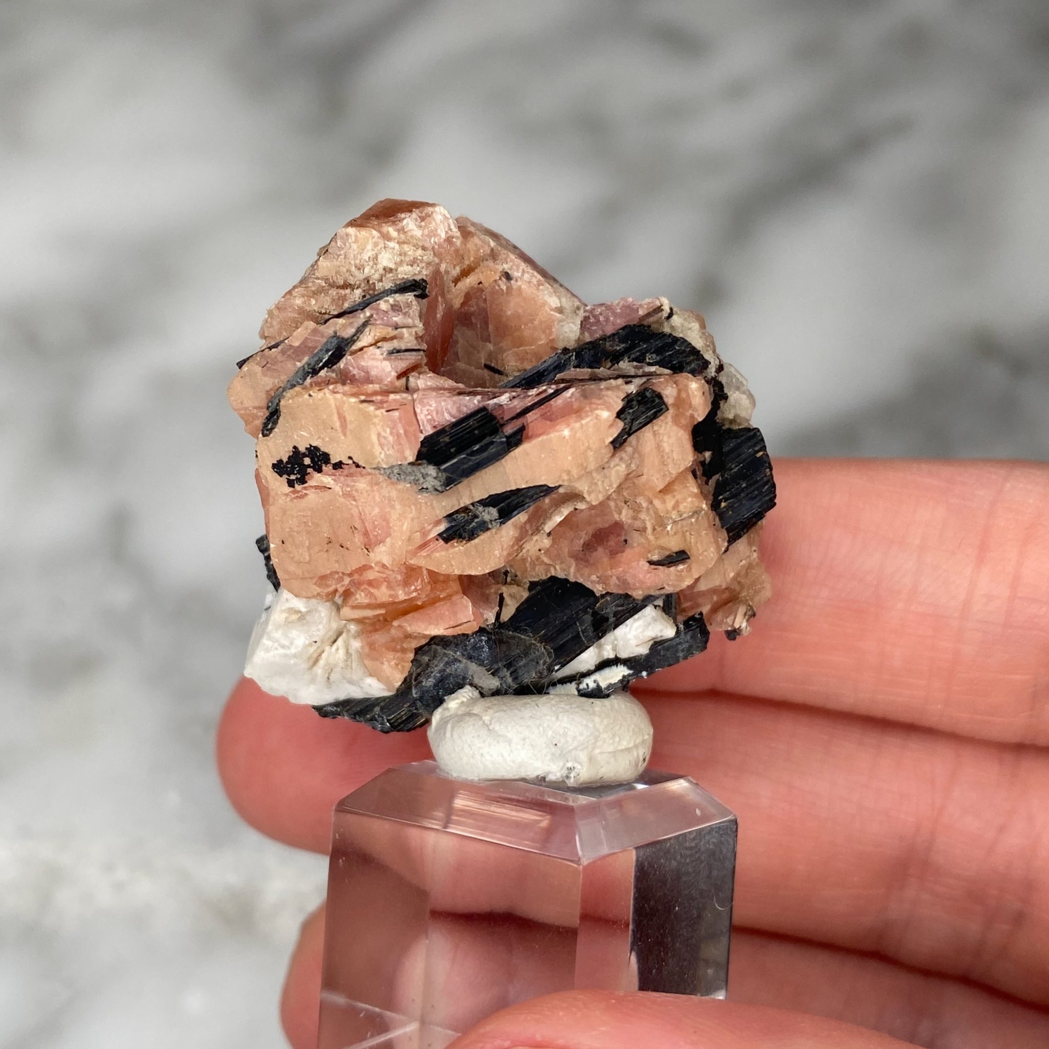 Sérandite Aegirine Albite du Mont Saint Hilaire, Québec, Canada – Image 6