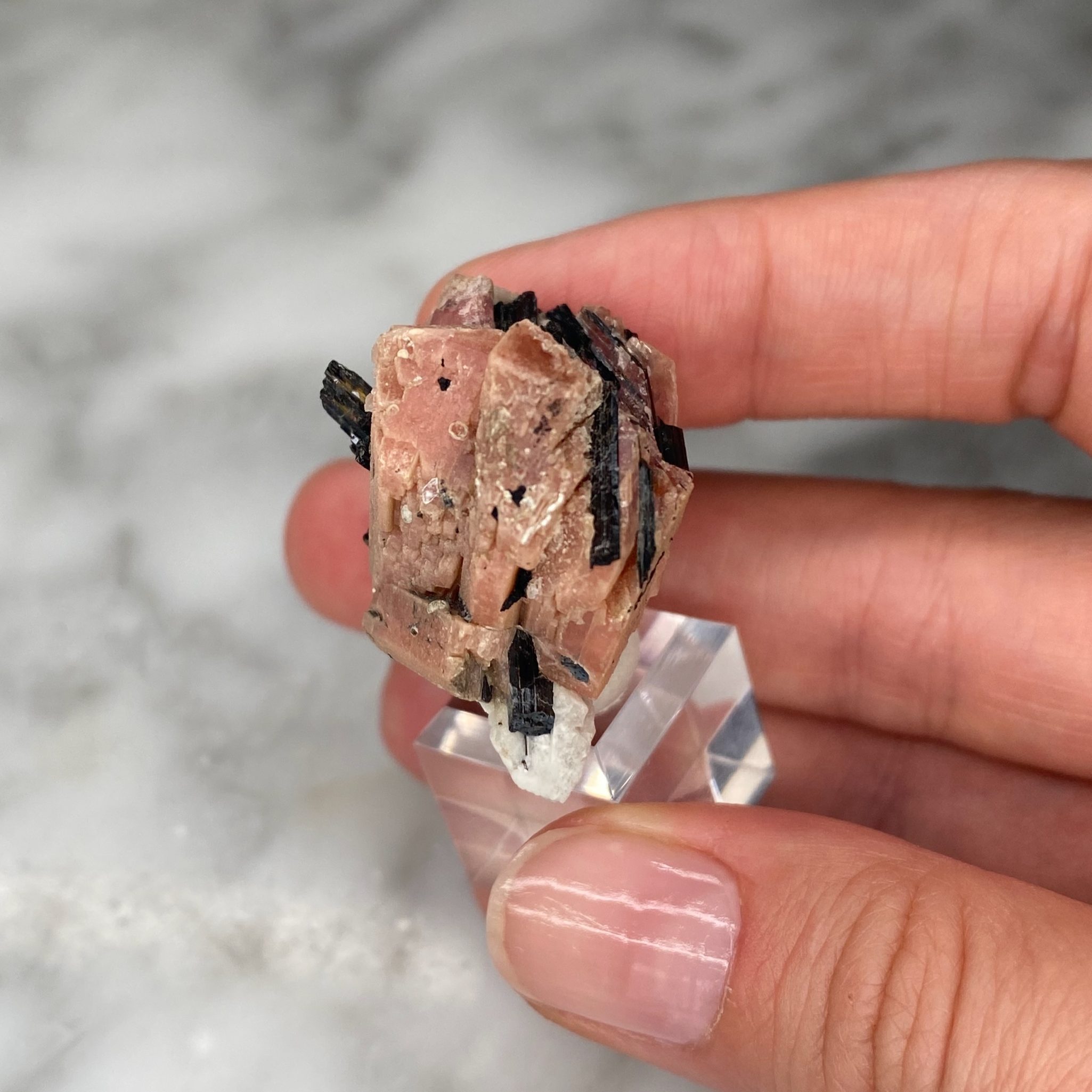Sérandite Aegirine Albite du Mont Saint Hilaire, Québec, Canada – Image 4