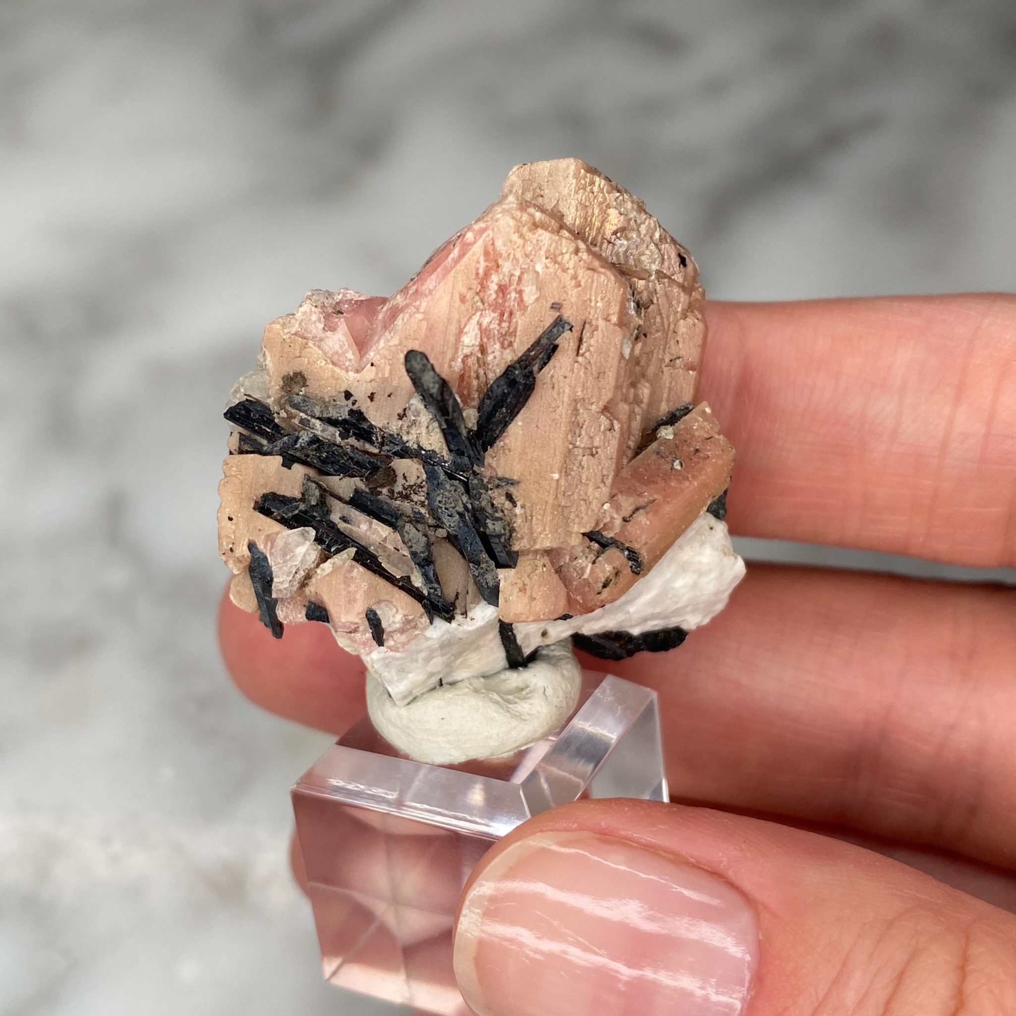 Sérandite Aegirine Albite du Mont Saint Hilaire, Québec, Canada – Image 3