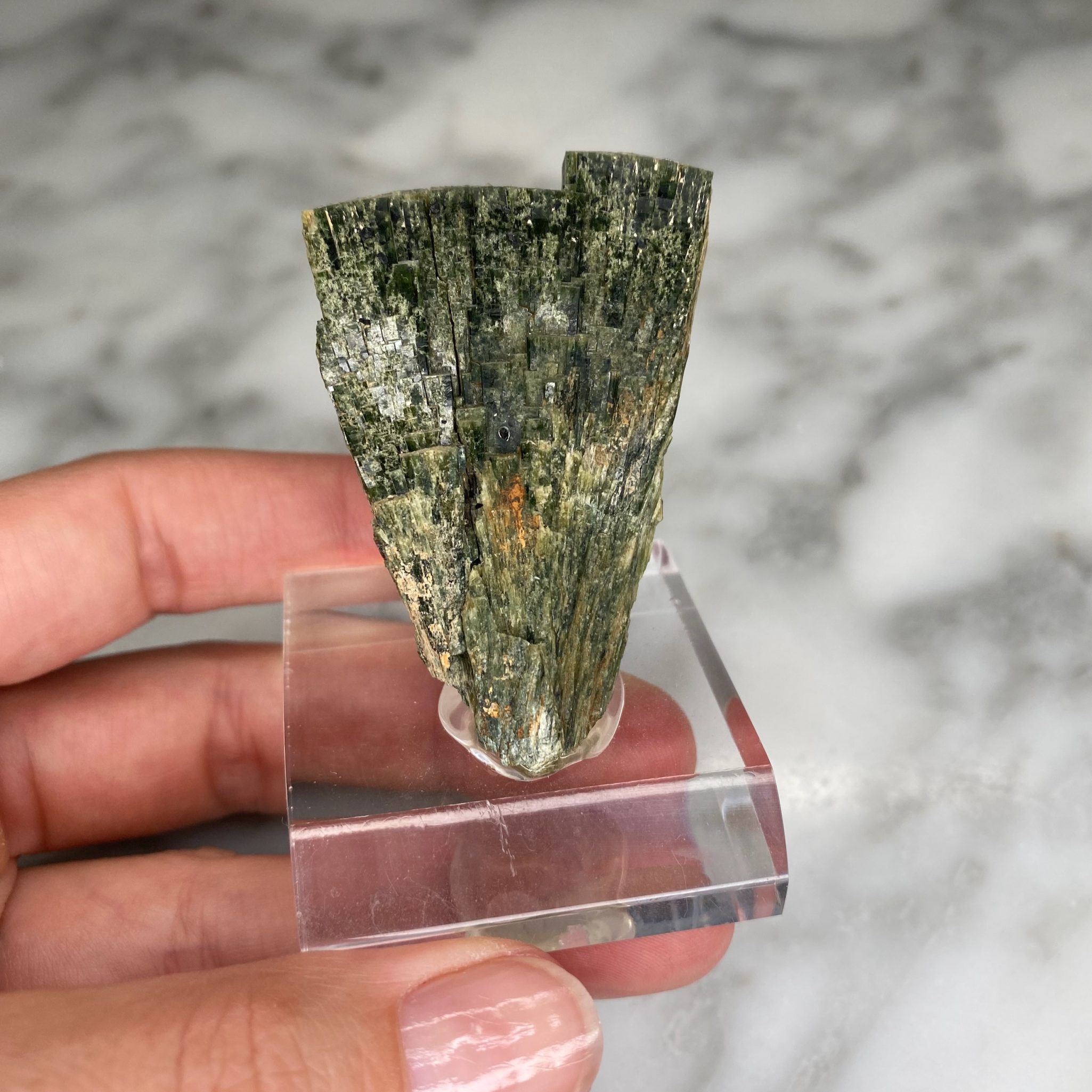 Hédenbergite de Dalnegorsk, Russie – Image 2