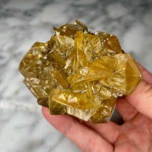 gypsum var. selenite from red river floodway Y4
