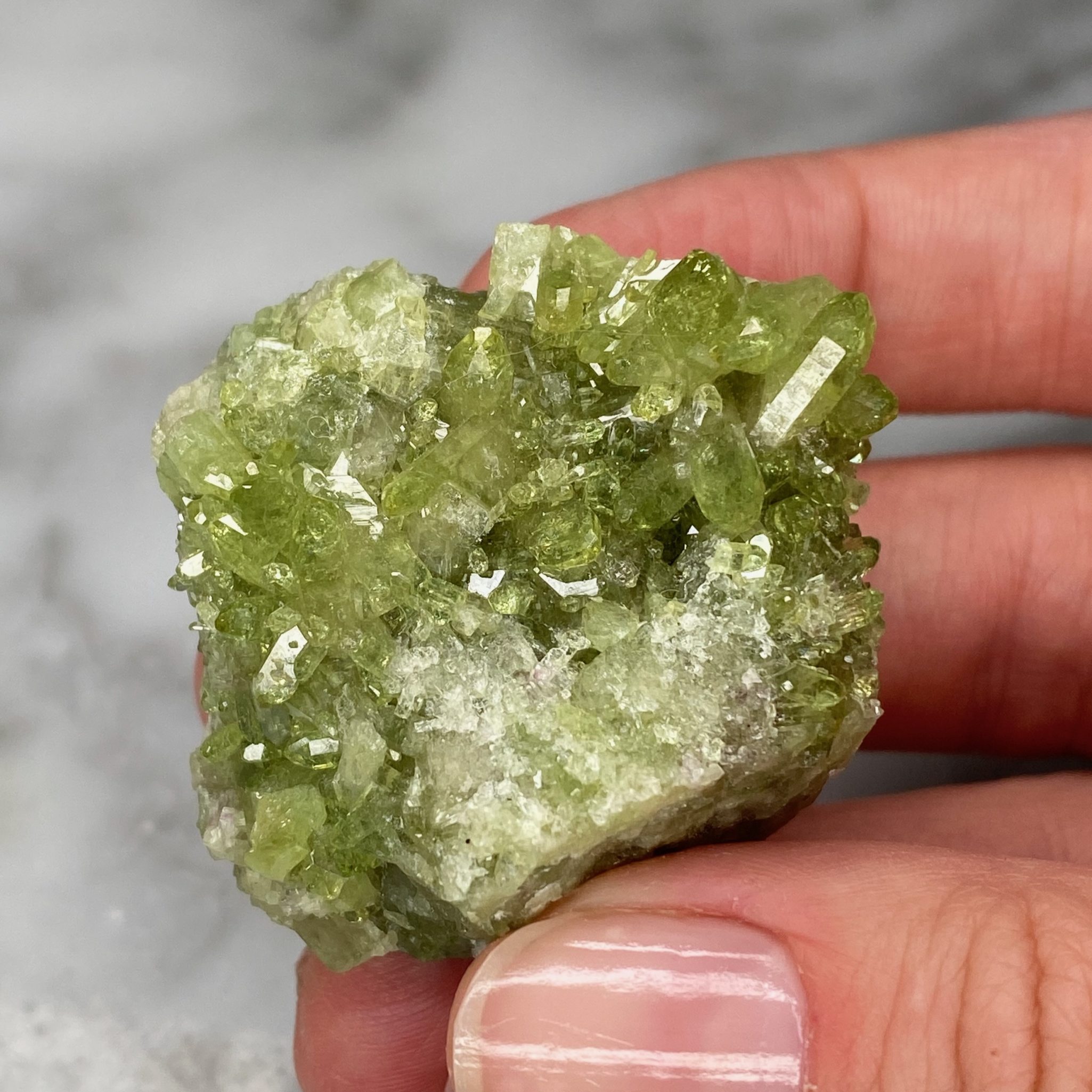 Vesuvianite Cluster from Jeffrey Mine, Quebec (Y1) - Image 2