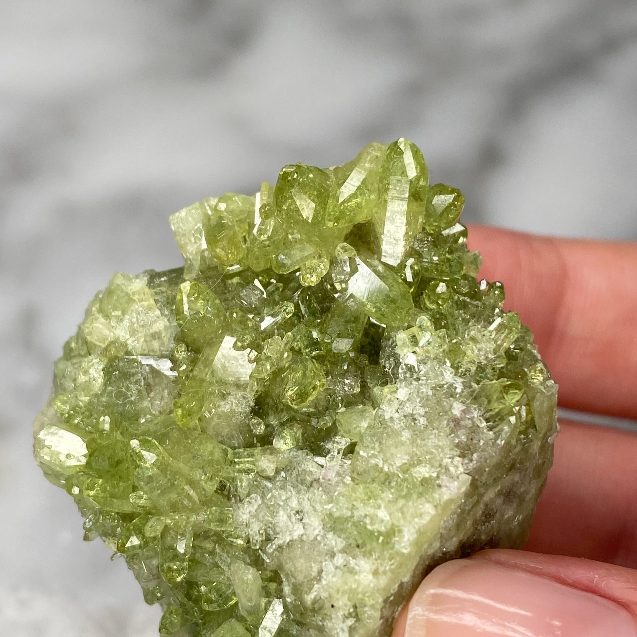 Vesuvianite Cluster from Jeffrey Mine, Quebec (Y1) - Image 6