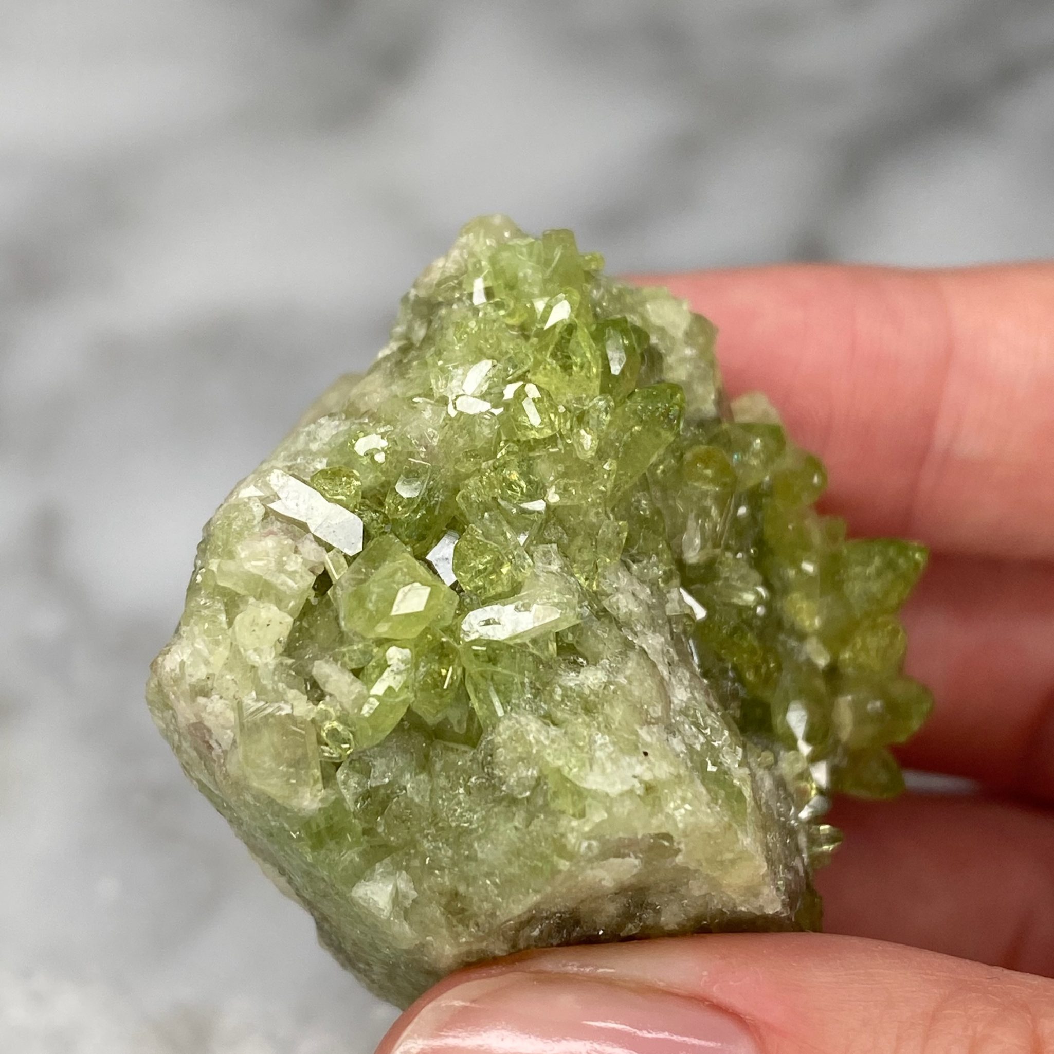 Vesuvianite Cluster from Jeffrey Mine, Quebec (Y1) - Image 5