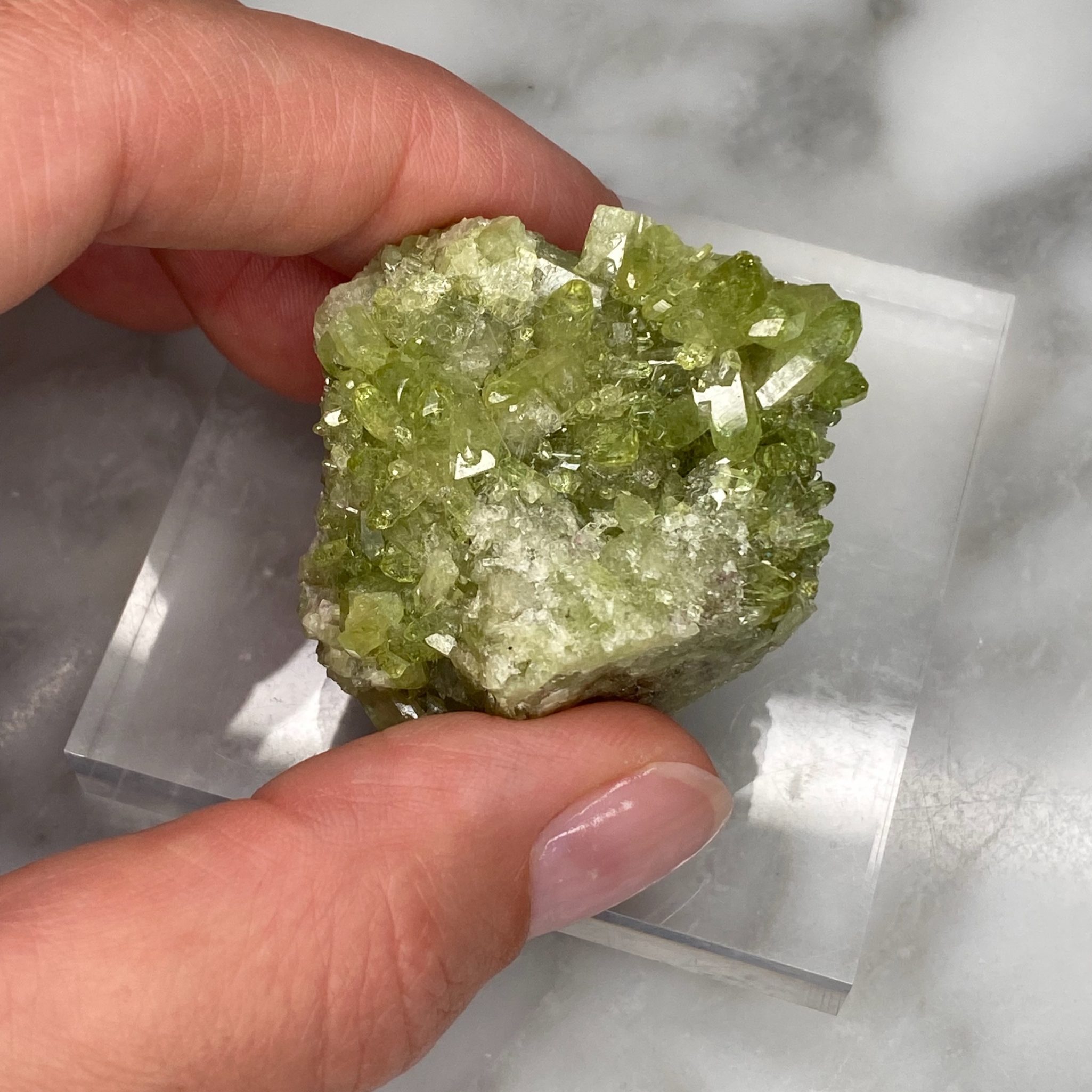 Vesuvianite Cluster from Jeffrey Mine, Quebec (Y1) - Image 4