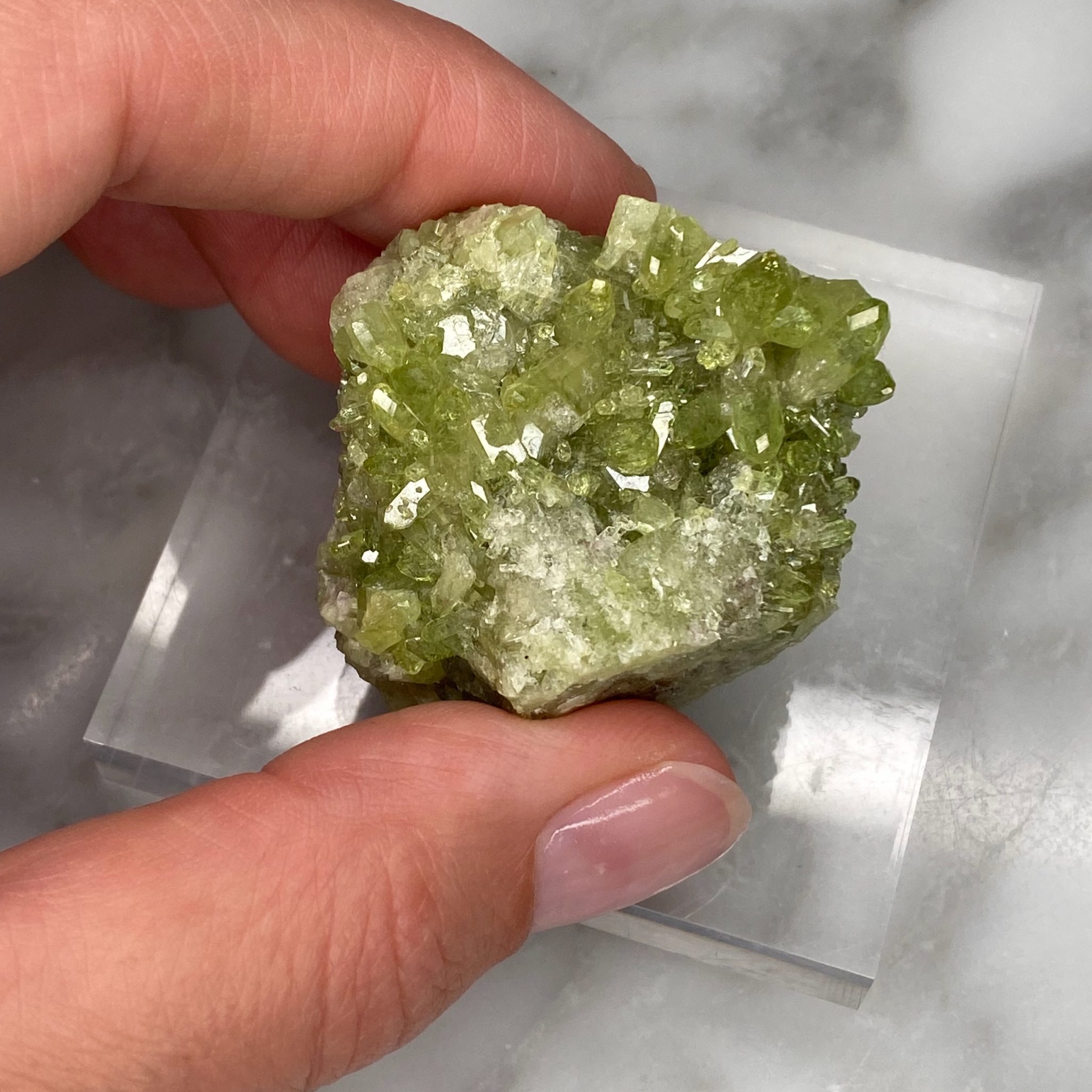 Vesuvianite Cluster from Jeffrey Mine, Quebec (Y1) - Image 3