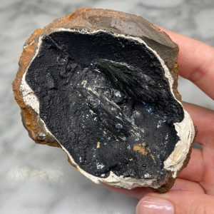 vivianite in clam fossil shell from kertsch